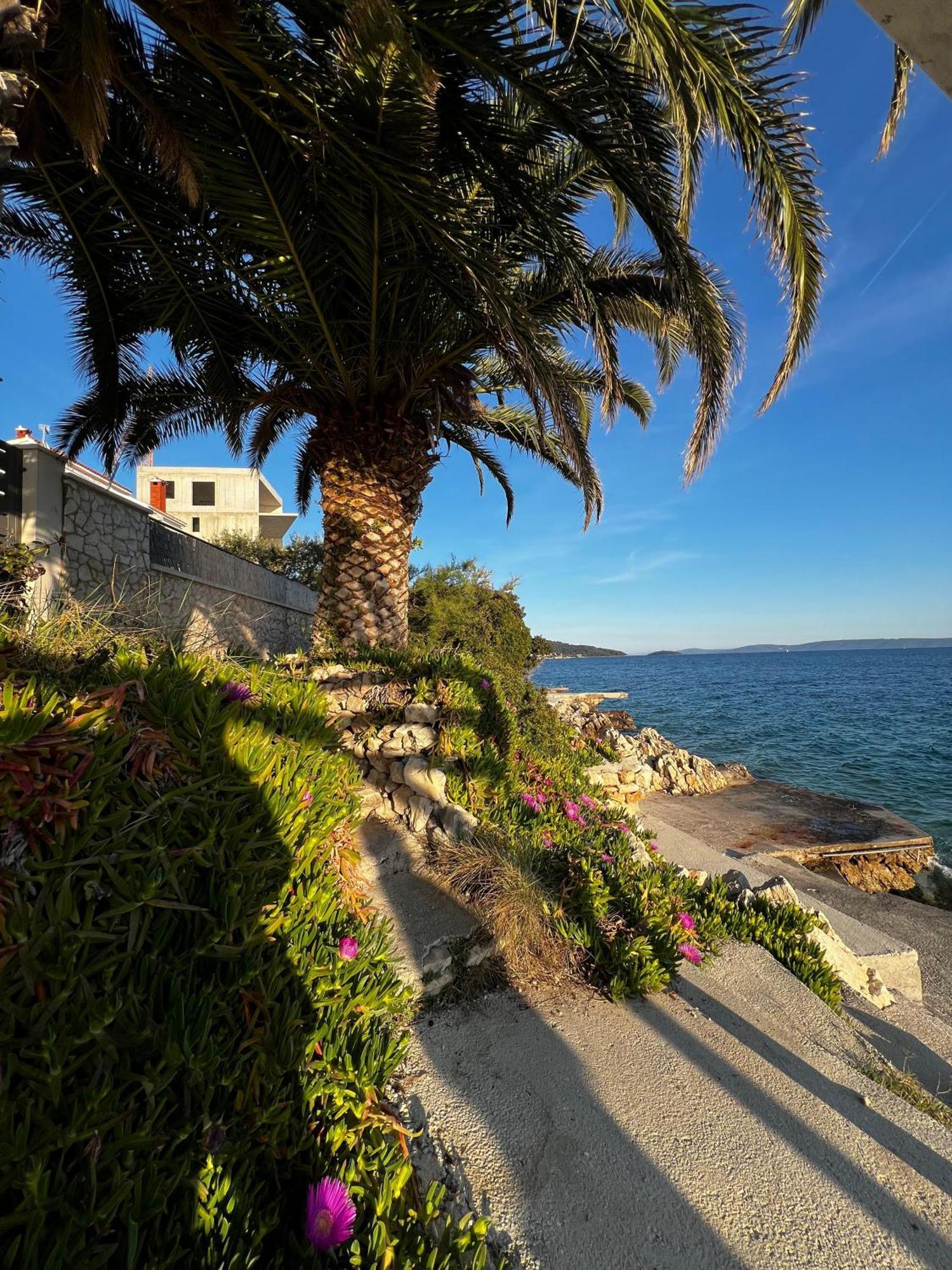 Villa Apartments Oliva Seget Vranjica Eksteriør billede